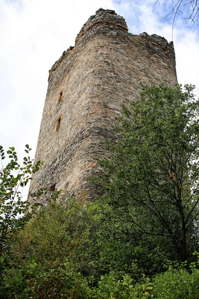 Alte Mittelalterliche Burg Thront Sommertagen Über Den Bäumen Stockbild