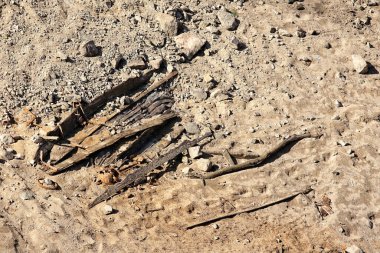 Çürümüş eski ahşap kürek kayığı ıssız gölün kumlu dibinde.