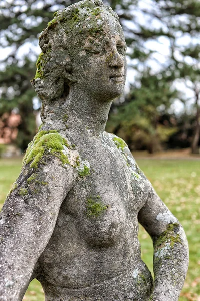 Moss Coberto Figura Pedregosa Cinza Senhora Nua Com Peito Pequeno — Fotografia de Stock