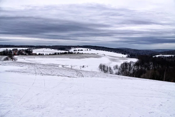 Panorama Der Schneebedeckten Berghügel Und Des Waldes Hintergrund — Stockfoto