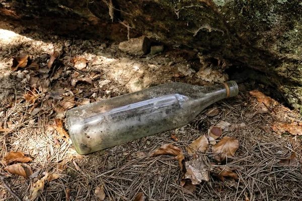 Vieja Botella Vidrio Vacía Yaciendo Naturaleza Agujas — Foto de Stock