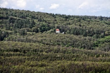 Tepenin yamacındaki ormanda tek bir mavi saray.
