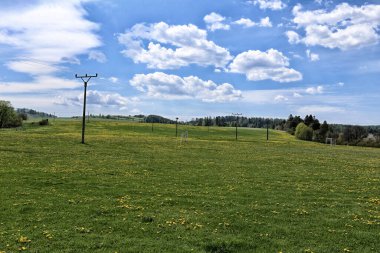 Güneşli bir günde beyaz bulutlu, sarı karahindiba dolu geniş bir çayır.