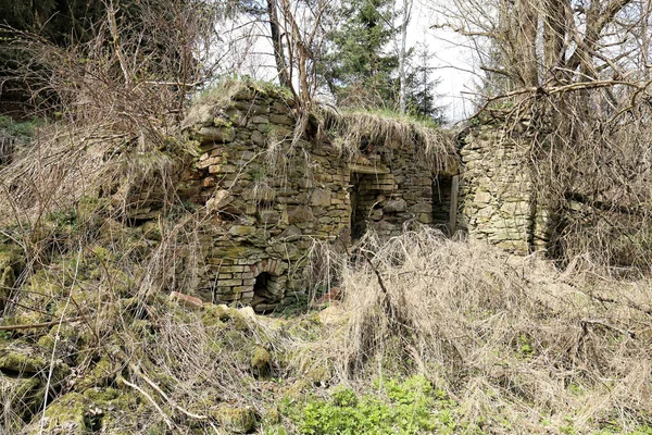 Ruined Walls Interior Abandoned Devastated Scrubby House — Stock Photo, Image