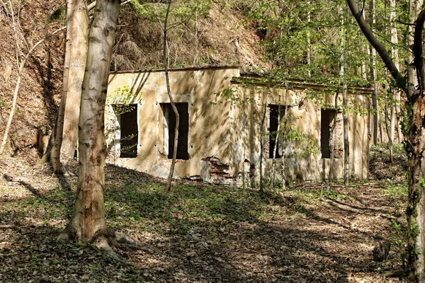 森の中に隠された丘の下の廃墟の窓のない家 — ストック写真