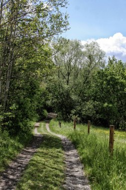 Güneşli bir günde otlaklar ve tarlalar arasındaki kırsal yol