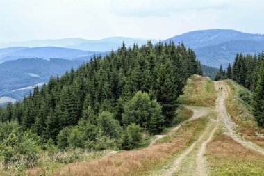 Orman ve ormanlarla kaplı tepeler ve uzaktaki iki turistin bulunduğu merkez yol.