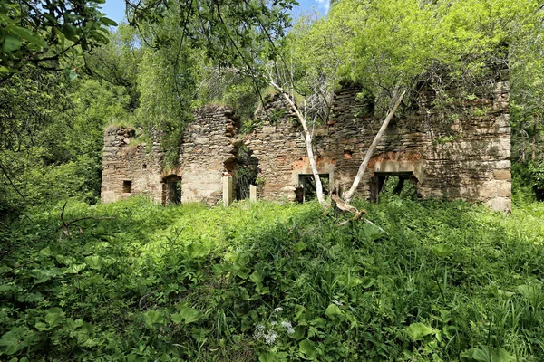 Скрубковые Руины Большого Дома Дверью Окнами Лесу Березой — стоковое фото