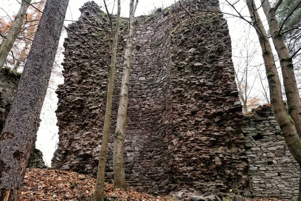 Enormes Restos Gruesos Muros Torre Del Castillo Perstejn Bosque — Foto de Stock