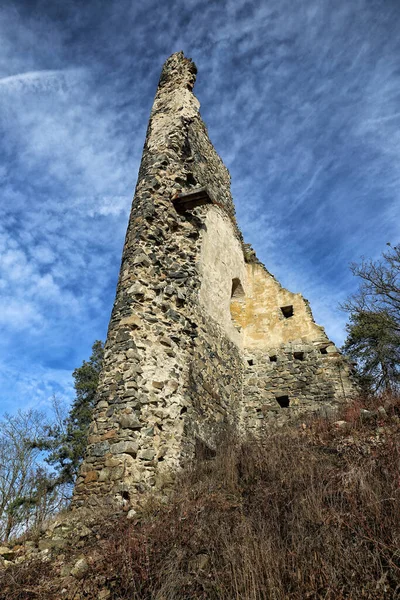 Zlenice Château Mur Ruines Sous Ciel Nuageux Avec Buisson Dessous — Photo