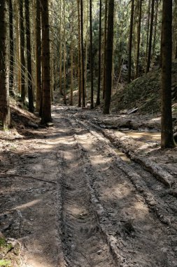 Orman yolu ağır odun madenciliği makineleriyle harap olmuş.