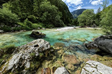 Nehrin dibindeki yosun ve çimlerle kaplı büyük taşlar. 