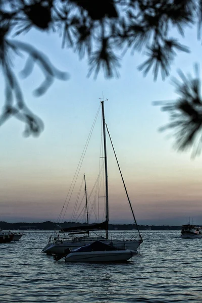 Silueta Del Barco Catamarán Agita Cielo Nocturno Sobre Las Agujas — Foto de Stock