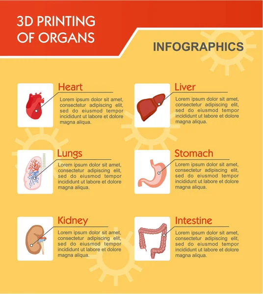 Koncepcja Bioprinting Druk Wątroby Żołądka Płuca Nerki Serce Medyczne Infografikę — Wektor stockowy