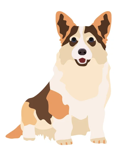 Dog welsh korgi. cartoon style vector illustration isolated on white background. — Stock Vector