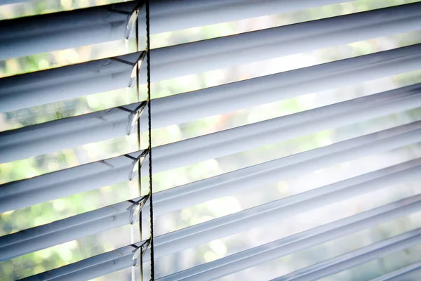 Windows with white venetian blinds