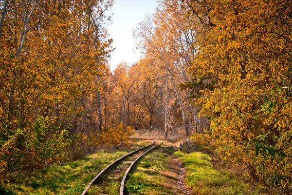 Залізниця Осінньому Лісі — стокове фото