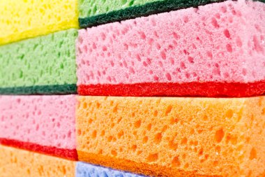 renkli sünger doku portre