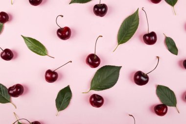 Olgun kiraz ve yeşil yaprakları pembe bir arka plan üzerinde. Üstten görünüm. Gıda arka plan