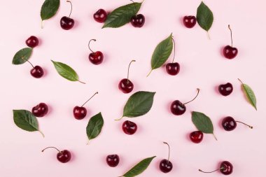 Olgun kiraz ve yeşil yaprakları pembe bir arka plan üzerinde. Üstten görünüm. Gıda arka plan