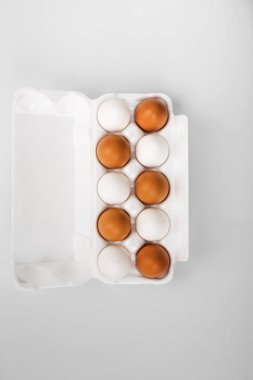 Çiğ yumurta grubu beyaz ve kahverengi. Çeşitlilik kavramı, isolati