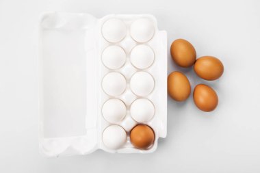 Çiğ yumurta grubu beyaz ve kahverengi. Çeşitlilik kavramı, isolati