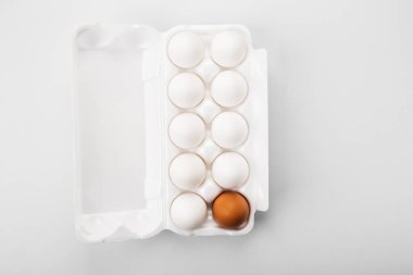 Çiğ yumurta grubu beyaz ve kahverengi. Çeşitlilik kavramı, isolati