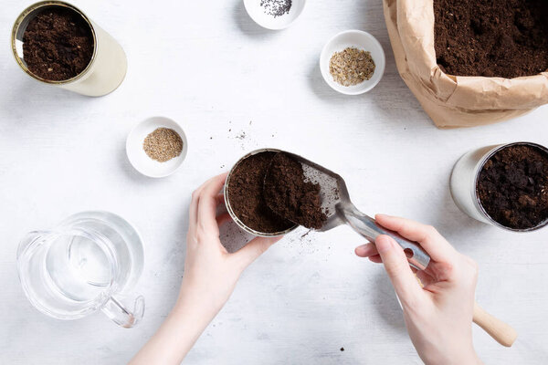 Planting seeds for home garden. Reuse of tin to grow plants. Zero waste, recycle, upcycle. Top view