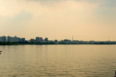 Akşam Seul'de nehir asmak