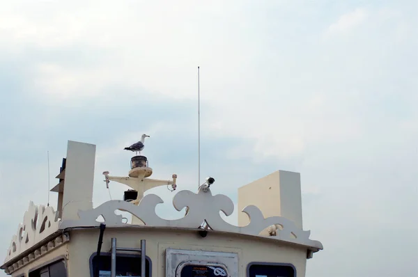 Seagull on the top of boat — Stock Photo, Image