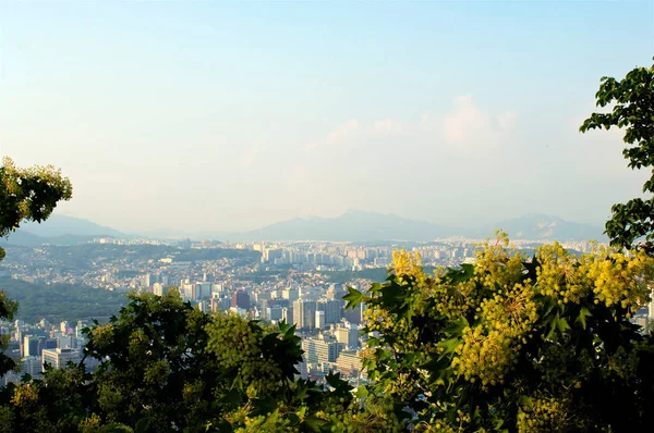 Seul cidade rua vista de cima no verão — Fotografia de Stock