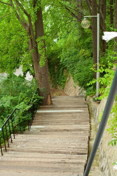 Escaleras en el bosque —  Fotos de Stock