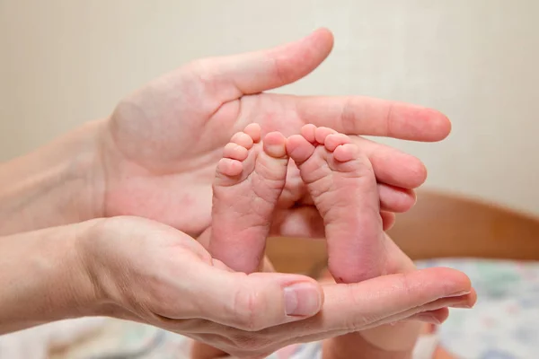 Pequenos Pés Nas Palmas Das Mãos Mãe — Fotografia de Stock
