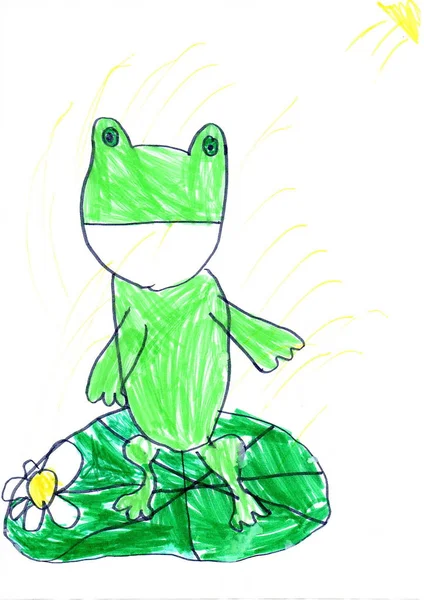 Frog-children's drawing on a flowering Lily