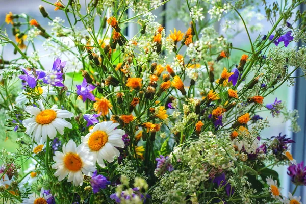 Gemischter Strauß Von Wald Und Wiesenblumen — Stockfoto