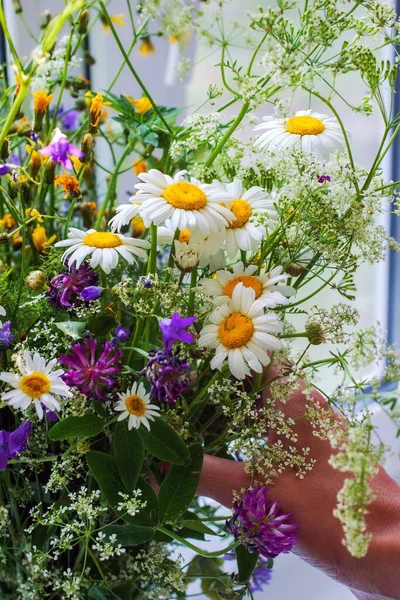 Gemischter Strauß Wald Und Wiesenblumen Mit Damenhand — Stockfoto