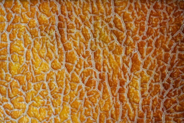 Textura Zralého Pomerančového Melounu — Stock fotografie