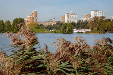Rusya Federasyonu, MOSKOVA Eylül 04, 2020. Park Adası 'nın manzarası ve çevresi, bir parça..