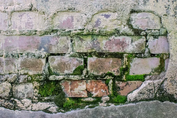 Texture Brick Wall Overgrown Moss — Stock Photo, Image