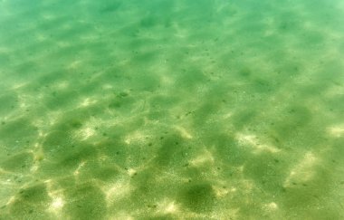 deniz tabanı, sualtı fotoğrafçılığı görünümü