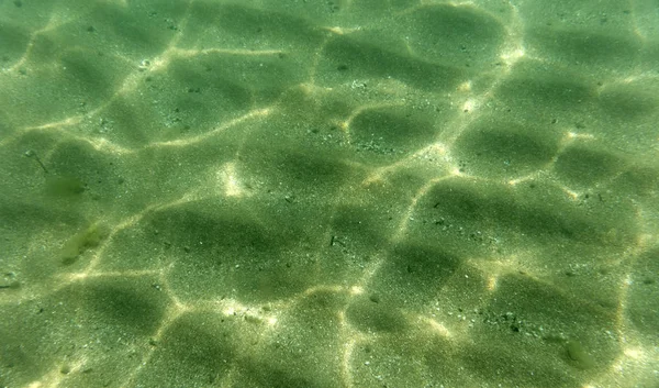 Zeebodem Uitzicht Onderwater Fotografie — Stockfoto