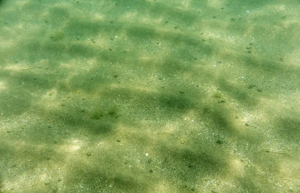 Zeebodem Uitzicht Onderwater Fotografie — Stockfoto
