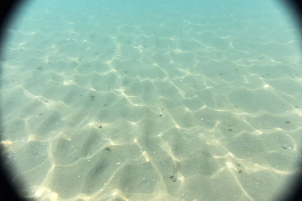 Seabed Underwater Photography View — Stock Photo, Image