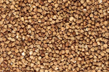 karabuğday, karabuğday groats, kopya alanı