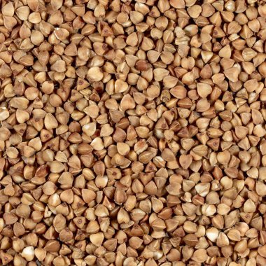 karabuğday, karabuğday groats, kopya alanı