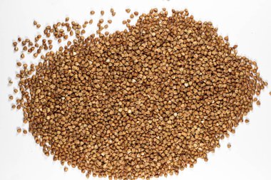 karabuğday, karabuğday groats, kopya alanı