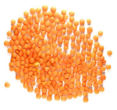 mercimek, mercimek tohumu, kopya alanı