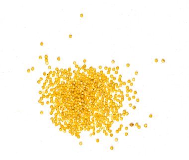 darı tahıllar, darı, kopya alanı