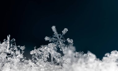 kar üzerinde kar taneleri. Resim 8 bir sıcaklıkta yapılır C