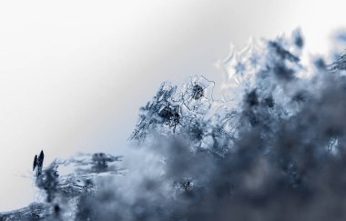 kar üzerinde kar taneleri. Resim 8 bir sıcaklıkta yapılır C